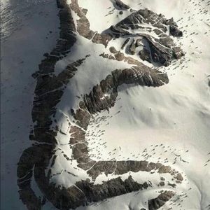 Meet your Posher, Lawrence